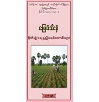 မြေပဲသီးနှံ စိုက်ပျိုးရေး နည်းစနစ်ကောင်းများ