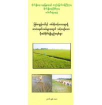 မြစ်၀ကျွန်းပေါ်နှင့် ကမ်းရိုးတန်းဒေသရှိ ဆားငန်ရေ၀င်လယ်များအတွက် သင့်လျော်သော မိုးစပါးစိုက်ပျိုးနည်းစနစ်များ