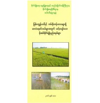 မြစ်၀ကျွန်းပေါ်နှင့် ကမ်းရိုးတန်းဒေသရှိ ဆားငန်ရေ၀င်လယ်များအတွက် သင့်လျော်သော မိုးစပါးစိုက်ပျိုးနည်းစနစ်များ