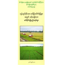 ကုန်းတွင်းပိုင်း ဆပ်ပြာပေါက်မြေများအတွက် သင့်လျော်သော စပါးစိုက်ပျိူးနည်းစနစ်များ