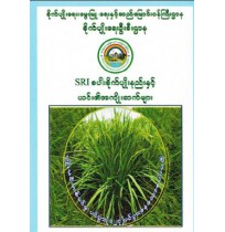 SBI စပါးစိုက်ပျိူးနည်း နှင့် ယင်း၏အကျိူးဆက်များ