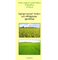 မိုးနည်းရေရှားဒေသများအတွက် သင့်လျော်သော နွေ/မိုး စပါးစိုက်ပျိူးနည်းစနစ်များ (ပျိူးထောင်စိုက်စနစ်)