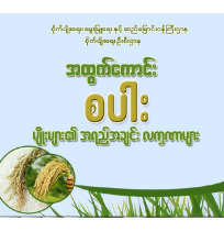 အထွက်ကောင်းစပါးမျိုးများ၏အရည်အချင်းလက္ခဏာများ