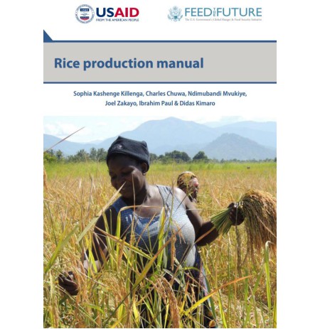 Rice Production