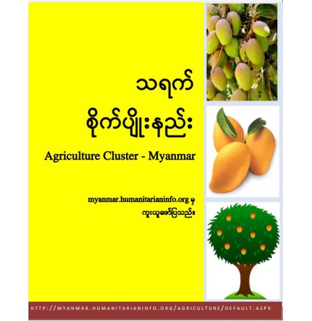 သရက်စိုက်ပျိုးနည်းစနစ်