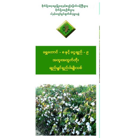 ရွှေတောင် - ၈ နှင့် ငွေချည် - ၉ အထူးအထွက်တိုး ချည်မျှင်ရှည် ဝါမျိူးသစ်