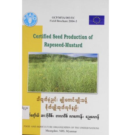 ဆီထွက်မုံညင်း မျိုးကောင်းမျိုးသန့် စိုက်ပျိုးနည်း