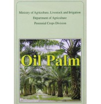 Oil Palm