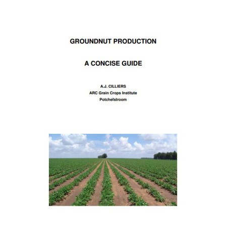 Groundnut Production (1)