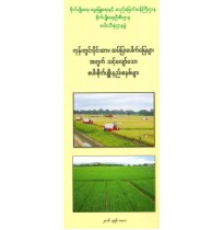 ကုန်းတွင်းပိုင်းဆား၊ ဆပ်ပြာပေါက်မြေများအတွက် သင့်လျော်သော စပါးစိုက်ပျိုးနည်းစနစ်များ