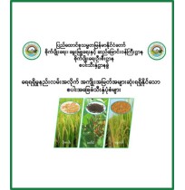 ရေရရှိမှုနည်းလမ်းအလိုက်အကျိုးအမြတ်အများဆုံးရရှိနိုင်သောစပါးအခြေခံသီးနှံများ