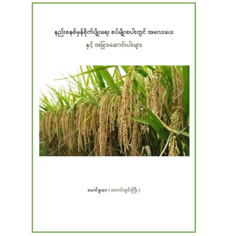 နည်းစနစ်မှန်စိုက်ပျိုးရေးစပ်မျိုးစပါးတွင်အလေးပေးနှင့်အခြားဆောင်းပါးများ