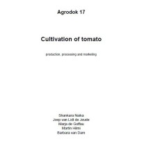 Cultivation of tomato