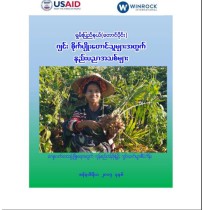 ဂျင်းစိုက်ပျိုး တောင်သူများအတွက်  နည်းပညာအသစ်များ